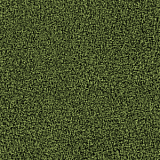 4176016 Moss